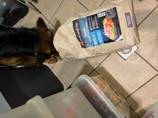 Adrianna, Piastów Adrianna, Piastów