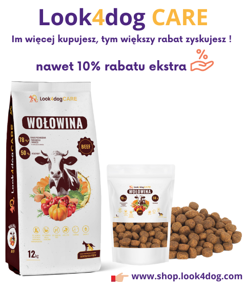 L4D rabat ilościowy