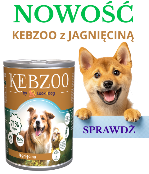 Kebzoo jagnięcina