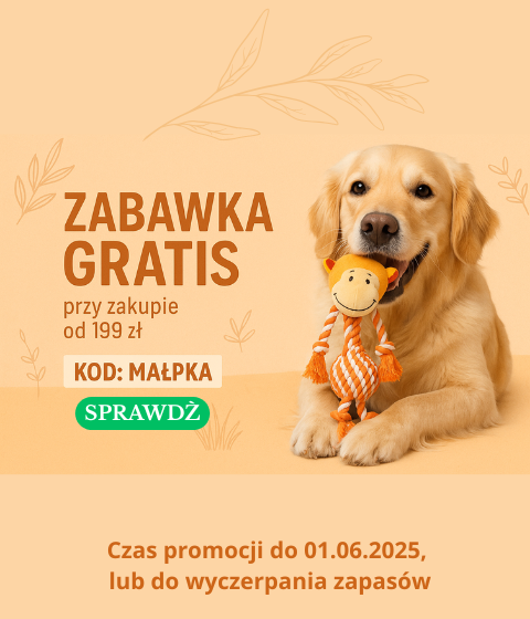 MAŁPKA GRATIS