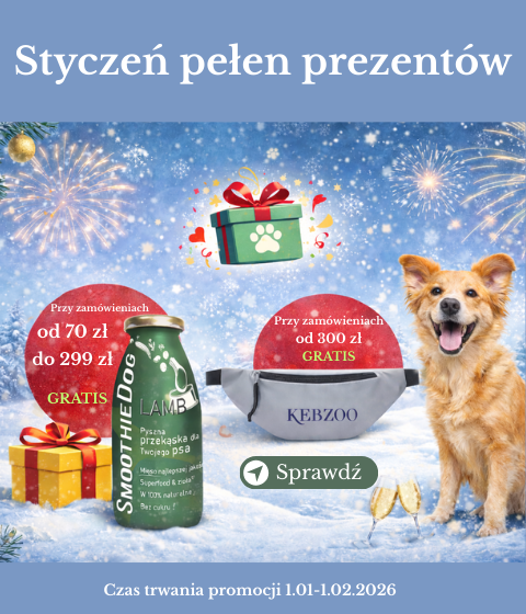 Gratisy Nowy Rok 2026