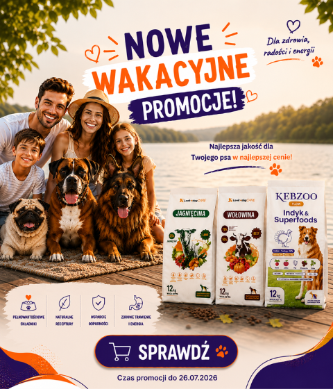 Wakacyjne PROMO 2026