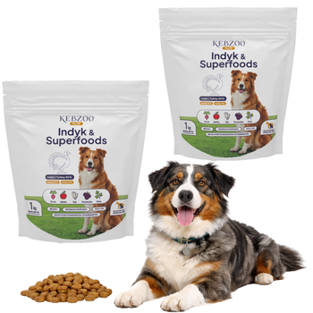 Zestaw: Karma sucha KEBZOO Flow Indyk&Superfoods 2x1 kg