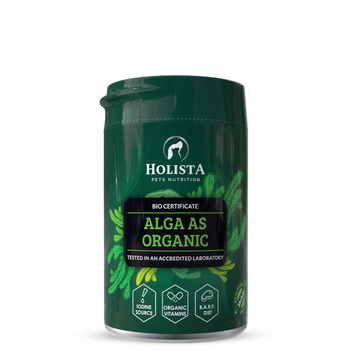 BIO Alga Holista proszek świetne źródło jodu 250g