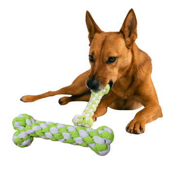 Gryzak dla psa kości pleciona bawełna biel zieleń