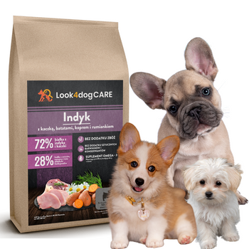 Szczeniaki mała rasa Indyk kaczka koper rumianek