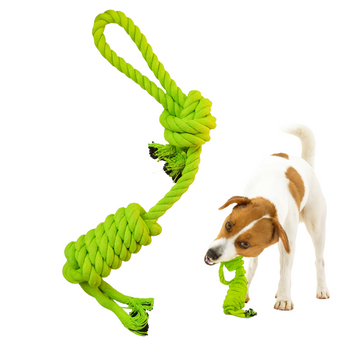 Szarpak idealny dla każdego psa zielony