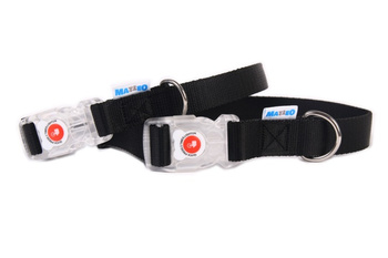 Bądź widoczny obroża LED idealna na wieczory