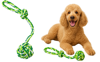 Piłka dla psa mała wytrzymała mocna zielona