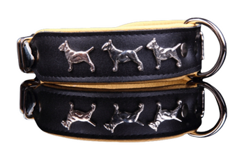 Podkreśl charakter swojego bulteriera tą obrożą