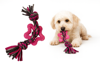 Zabawka dla psa gryzak i szarpak 2w1 kolor różowy