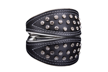 Podkreśl charakter charta tą oryginalną obrożą