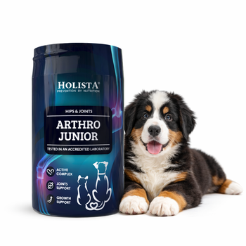 HolistaPets ArthroJunior