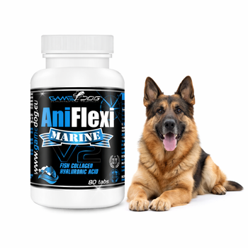Game Dog AniFlexi MARINE V2 80 tabs to mocne stawy