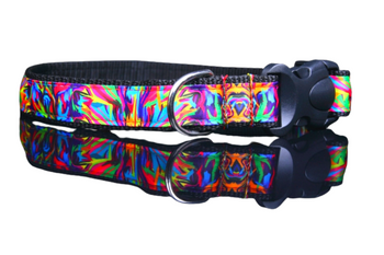 Obroża dla psa z kolekcji Picasso oryginalny wzór