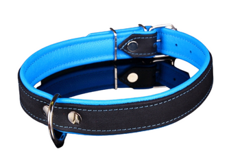 Klasyka zawsze jest piękna skórzana obroży dla psa