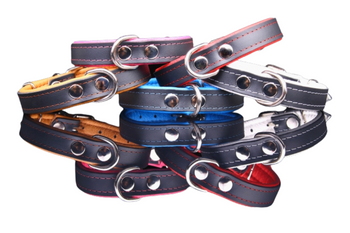 Klasyczna, skórzana obroża dla psa