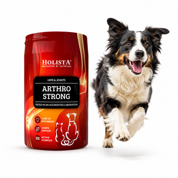 Holista Arthro Strong 200 g - wsparcie stawów