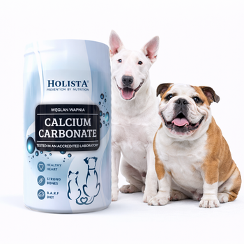 Węglan wapnia Holista proszek naturalny 250g