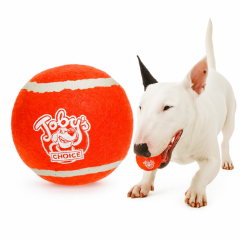 Piłka dla psa tennisowa SQUEAKER 2PAK MEDIUM