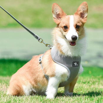 Na upały przewiewne i oddychające szelki rozmiar M