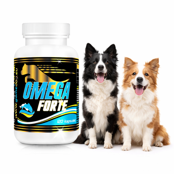 OMEGA FORTE - złoto w kapsułkach Game Dog