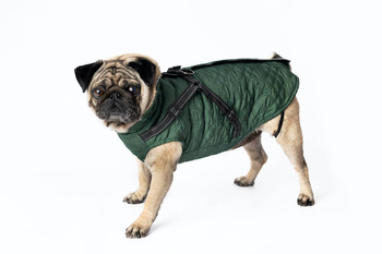 Ubranko dla psa kurtka jesienna kolor zielony S