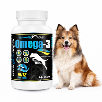 Wzmocnij swojego psa z Omega-3