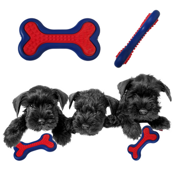 Malutka gumowa kostka dla malutkich piesków