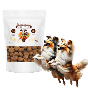 Sucha karma Look4dog CARE Wołowina bez zbóż i kurczaka 1 kg